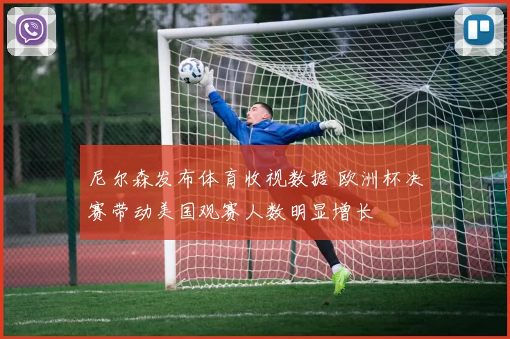 尼尔森发布体育收视数据 欧洲杯决赛带动美国观赛人数明显增长