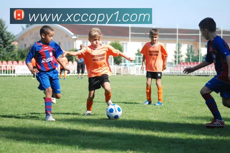 易倍emc(中国)官方网站 - 塑造体育新生态平台生态图