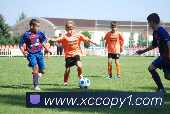 辅助工具 辅助工具